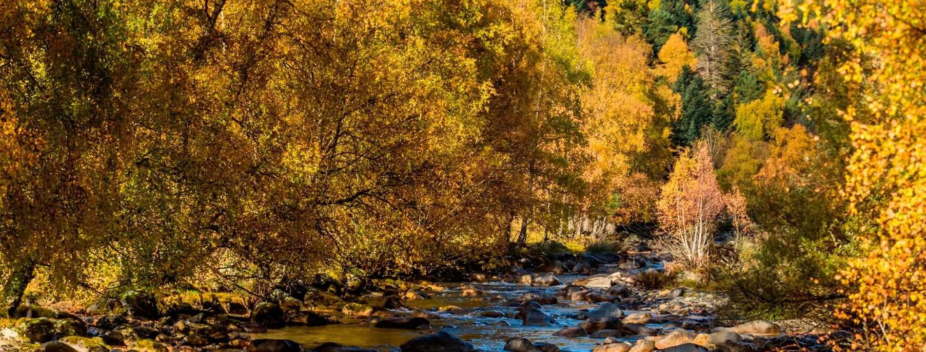 Apartaments Sort Pirineus 0*,